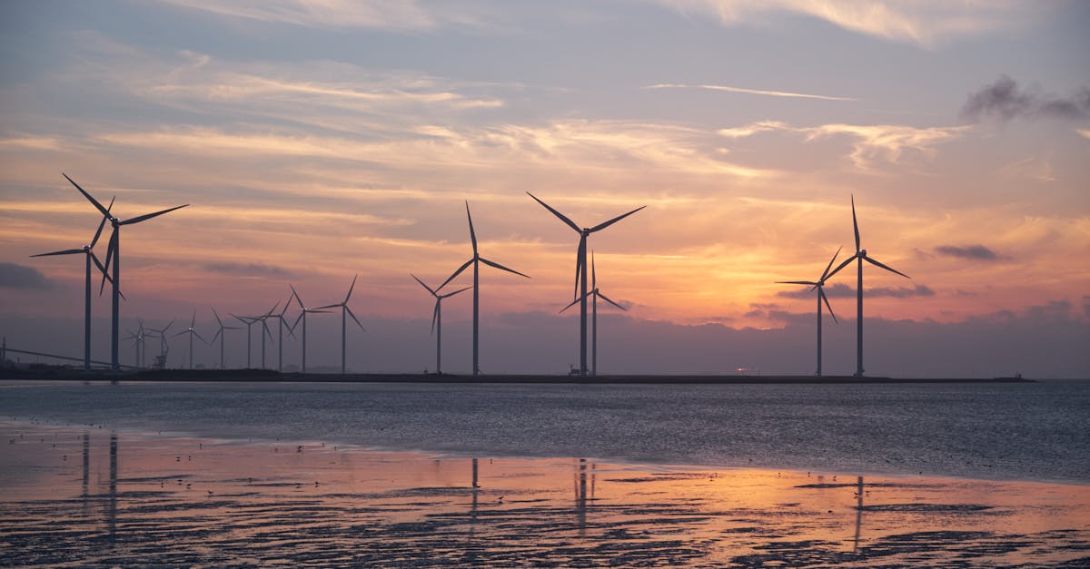 découvrez les sources d'énergie durables et leurs impacts positifs sur l'environnement. apprenez comment adopter des pratiques écologiques pour un avenir énergétique responsable et renouvelable.