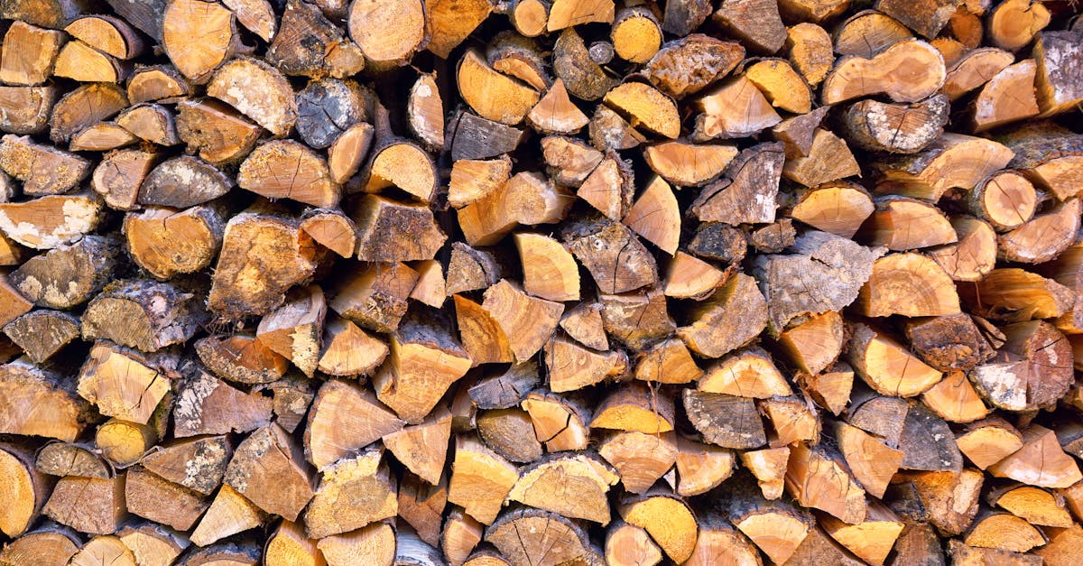 découvrez l'importance de la foresterie durable pour la préservation de nos forêts, la biodiversité et la lutte contre le changement climatique. adoptez des pratiques respectueuses de l'environnement et apprenez comment contribuer à un avenir forestier responsable.