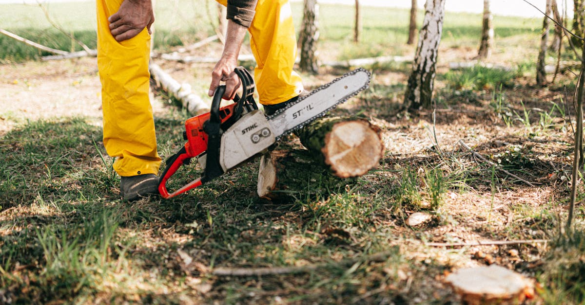 découvrez l'importance de la foresterie durable pour préserver nos écosystèmes et assurer l'avenir des ressources naturelles. apprenez les pratiques responsables qui favorisent la biodiversité et soutiennent les communautés tout en contribuant à la lutte contre le changement climatique.