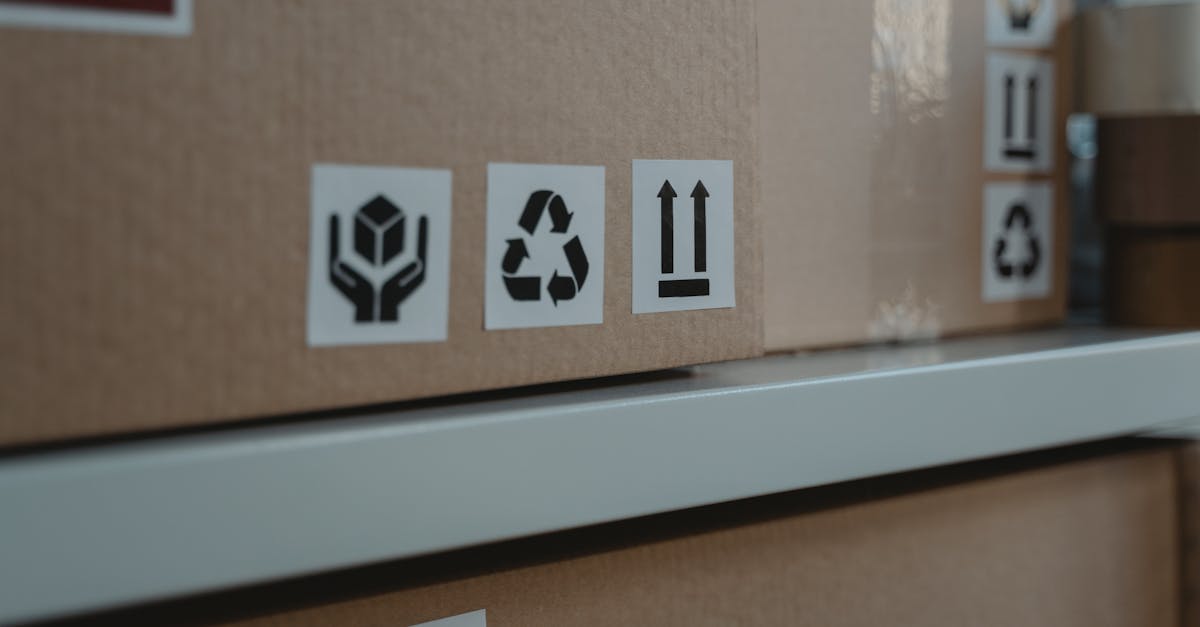 découvrez notre guide complet sur les labels durables, mettant en avant des marques écoresponsables et des produits respectueux de l'environnement. engagez-vous pour un avenir plus vert tout en faisant des choix éclairés.