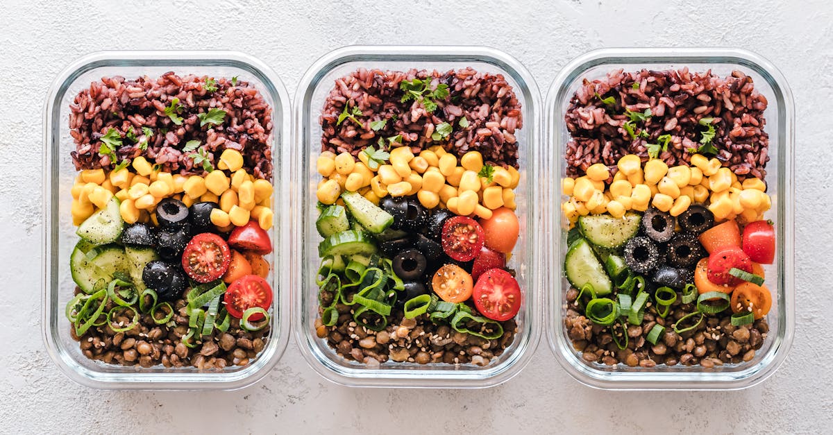 découvrez l'alimentation durable : des pratiques nutritionnelles qui préservent notre planète tout en offrant des repas sains et savoureux. adoptez un mode de vie écoresponsable grâce à des conseils, recettes et astuces pour intégrer des ingrédients durables dans votre quotidien.