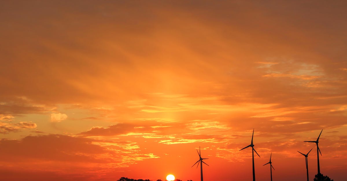 découvrez l'approche du sourcing durable, qui allie responsabilité environnementale et engagement social pour une chaîne d'approvisionnement éthique et respectueuse des ressources. apprenez comment les entreprises peuvent minimiser leur impact écologique tout en soutenant des pratiques équitables.
