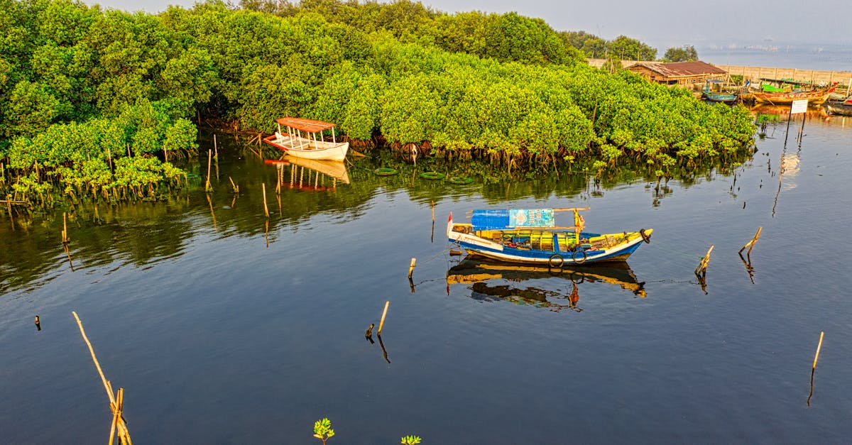 découvrez le tourisme durable, une approche qui préserve l'environnement tout en offrant des expériences authentiques et respectueuses des communautés locales. explorez des destinations engagées dans la protection de la nature et la promotion d'un modèle de voyage éthique.