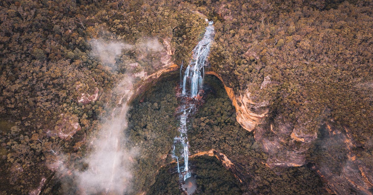 découvrez le tourisme durable : une approche respectueuse de l'environnement qui permet de voyager tout en préservant les ressources naturelles et culturelles. rejoignez le mouvement pour un avenir plus vert et responsable, et vivez des expériences inoubliables en harmonie avec la planète.