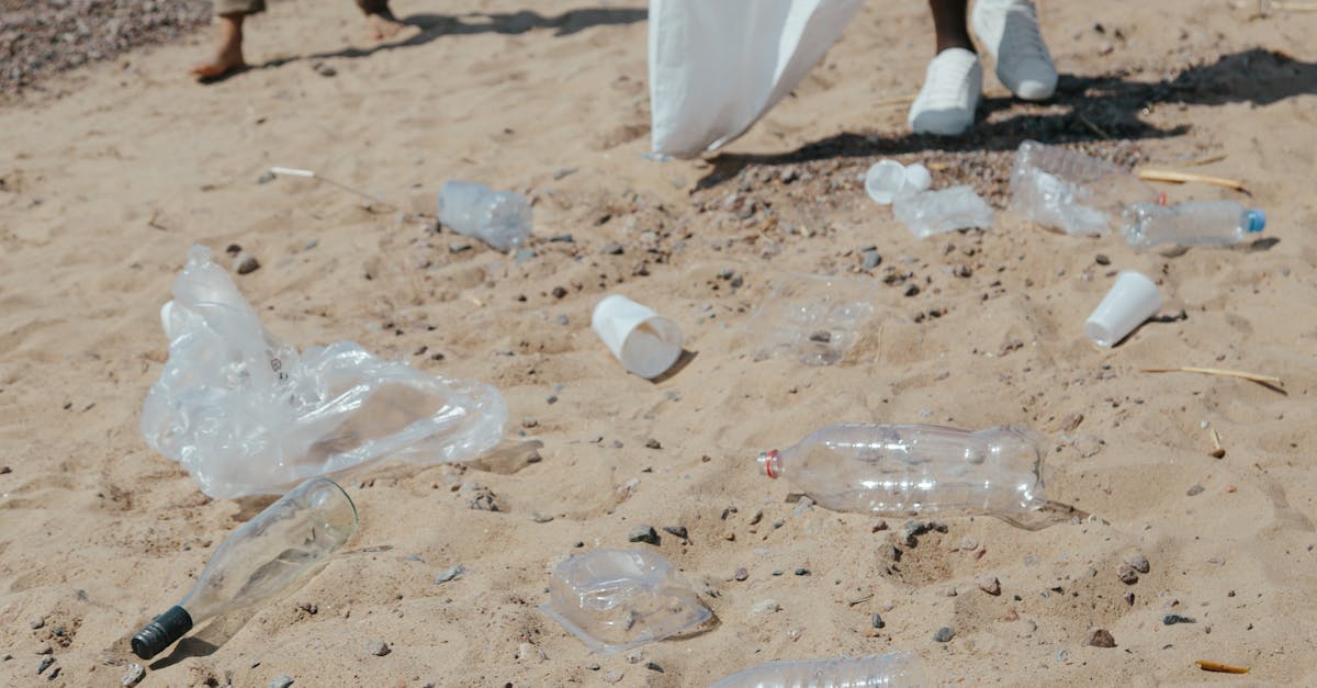 découvrez des solutions innovantes pour une gestion durable des déchets. apprenez comment réduire, réutiliser et recycler efficacement tout en protégeant notre environnement.