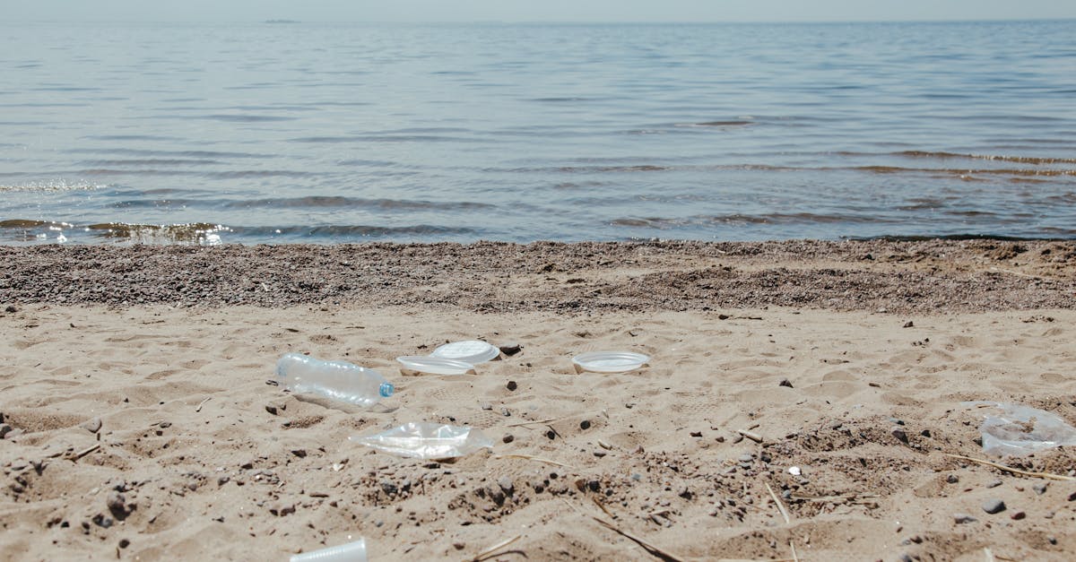 découvrez des stratégies innovantes et durables de gestion des déchets pour réduire l'impact environnemental et promouvoir un avenir plus écologique. apprenez comment intégrer des pratiques respectueuses de l'environnement dans votre quotidien.