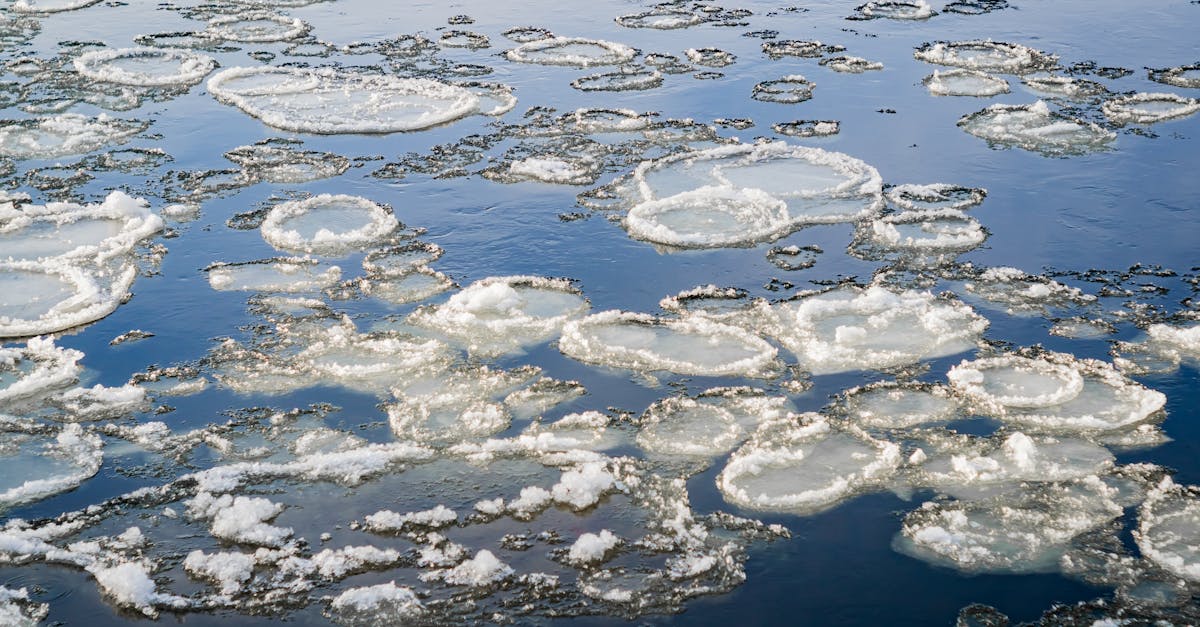 découvrez le processus de décongélation, ses effets sur les aliments et les méthodes efficaces pour préserver la qualité nutritionnelle lors du thawing.