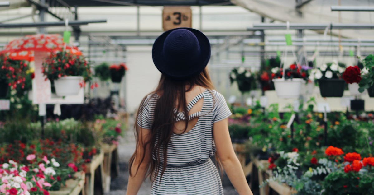 découvrez l'art du jardinage urbain et transformez vos petits espaces en véritables oasis de verdure. apprenez des astuces pratiques pour cultiver des plantes, légumes et herbes aromatiques en milieu urbain, tout en bénéficiant des nombreux avantages de cette tendance écologique.