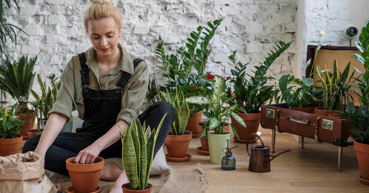 découvrez l'art du jardinage urbain : techniques, conseils et astuces pour cultiver des plantes au cœur de la ville. transformez votre balcon, terrasse ou petit espace en un véritable oasis verdoyant, tout en contribuant à l'écologie urbaine.