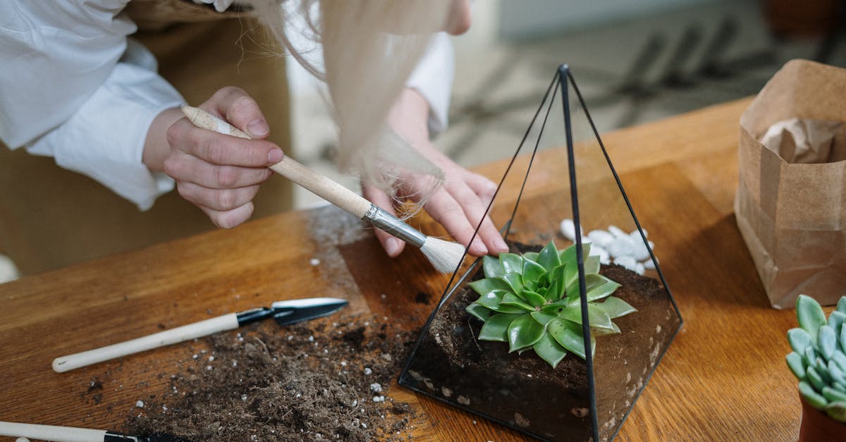 découvrez l'art du jardinage urbain : conseils pratiques, astuces de culture en ville, et idées inspirantes pour transformer vos espaces urbains en oasis verdoyantes, même avec un espace limité.