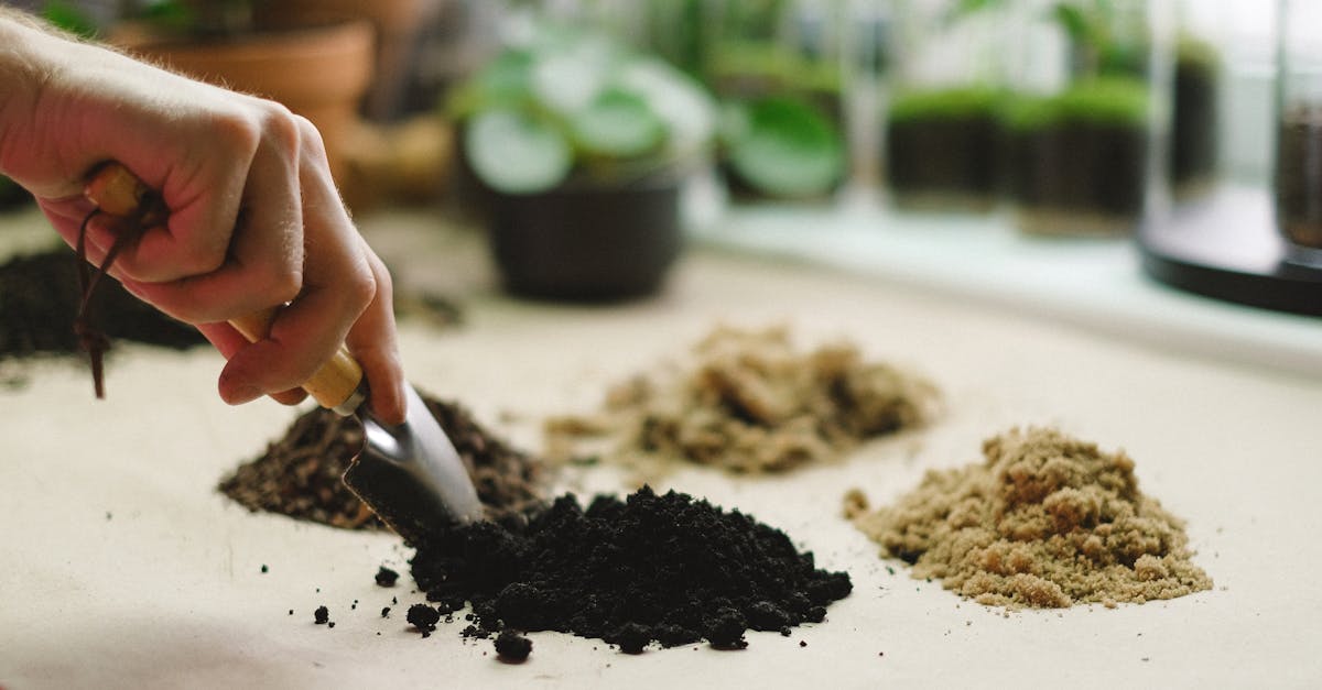découvrez l'art du jardinage urbain et transformez vos espaces citadins en oasis de verdure. apprenez des techniques pratiques pour cultiver fruits, légumes et plantes aromatiques même en milieu urbain, tout en optimisant l'utilisation de petits espaces.
