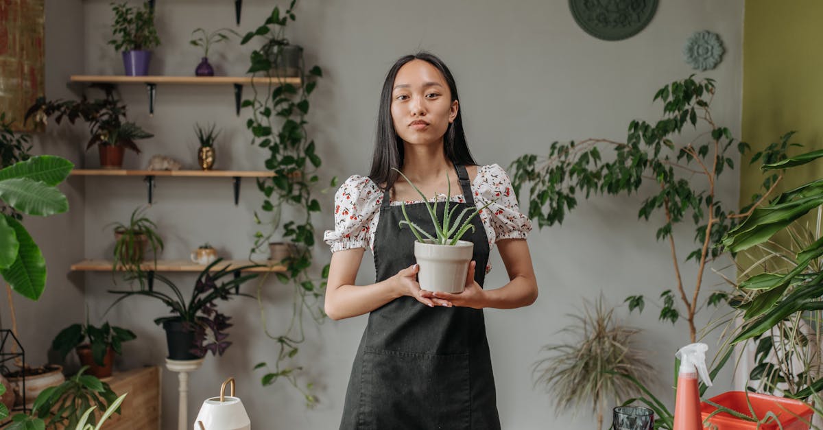 découvrez l'art du jardinage urbain et transformez votre espace en un havre de verdure. apprenez des techniques simples et efficaces pour cultiver des plantes en ville, améliorer la biodiversité et profiter des joies d'un jardin même dans un espace limité.