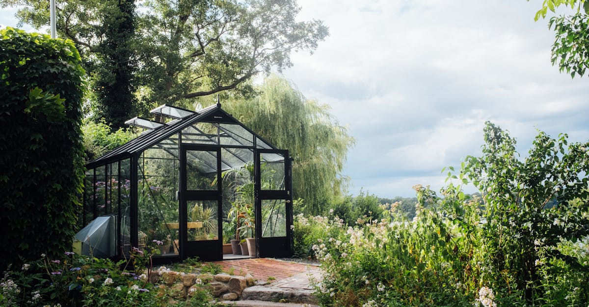découvrez l'art du jardinage urbain : cultivatez votre propre oasis de verdure en pleine ville. apprenez des techniques pratiques pour optimiser l'espace, choisir les bonnes plantes et récolter des légumes frais, même sur un balcon ou une petite terrasse.