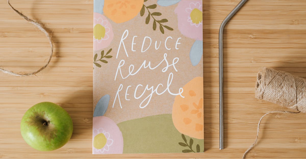 découvrez des stratégies et des pratiques efficaces pour la réduction des déchets. apprenez comment minimiser votre impact environnemental tout en adoptant un mode de vie durable et responsable.