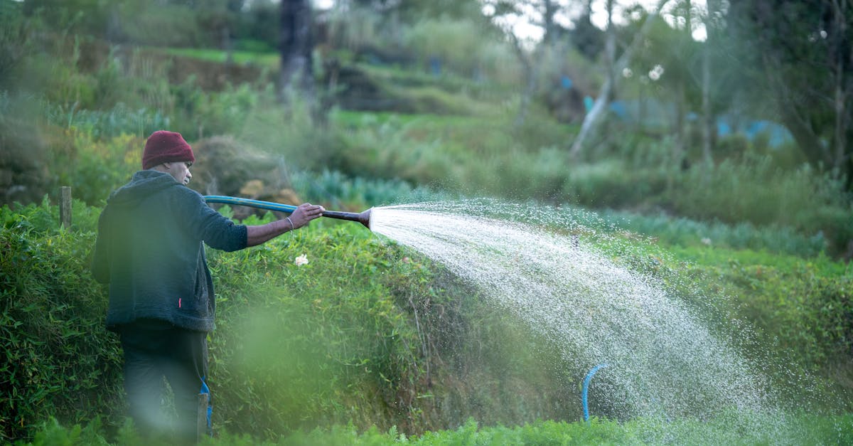 découvrez l'importance de la gestion de l'eau, une pratique essentielle pour préserver nos ressources naturelles, garantir un approvisionnement durable et combattre les effets du changement climatique. apprenez des stratégies innovantes et des solutions efficaces pour optimiser l'utilisation de cette précieuse ressource.
