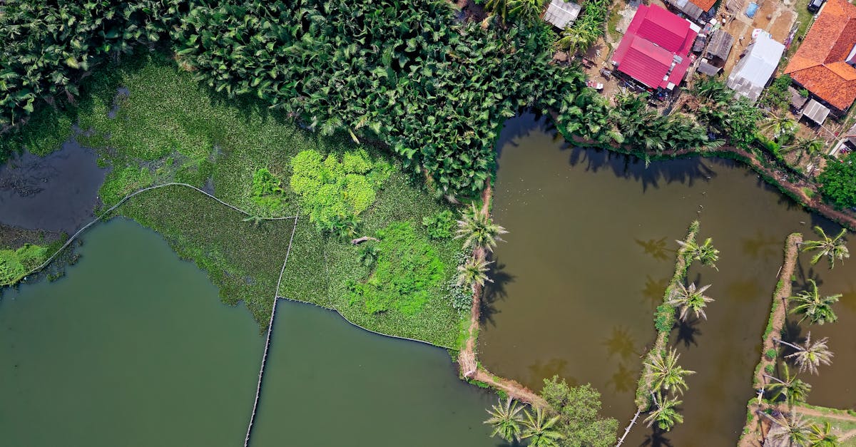 découvrez des solutions innovantes et efficaces pour la gestion de l'eau. optimisez vos ressources, améliorez la durabilité et assurez la qualité de l'eau dans vos projets grâce à des pratiques de gestion avancées.