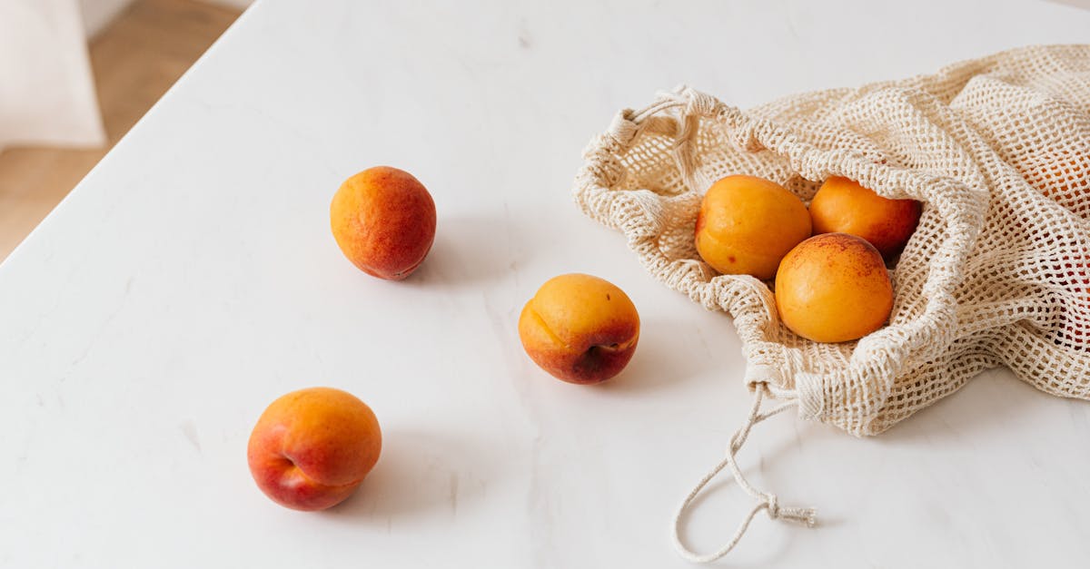 découvrez le mode de vie zéro déchet : adoptez des gestes simples pour réduire vos déchets, préserver l'environnement et vivre de manière durable. rejoignez le mouvement vers un futur sans plastique!
