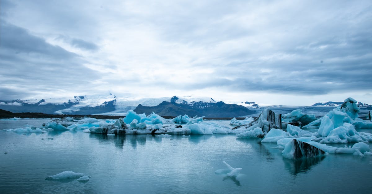 découvrez les enjeux cruciaux du changement climatique, ses impacts sur notre planète et les actions à entreprendre pour un avenir durable. informez-vous sur les solutions pour lutter contre ce phénomène mondial.