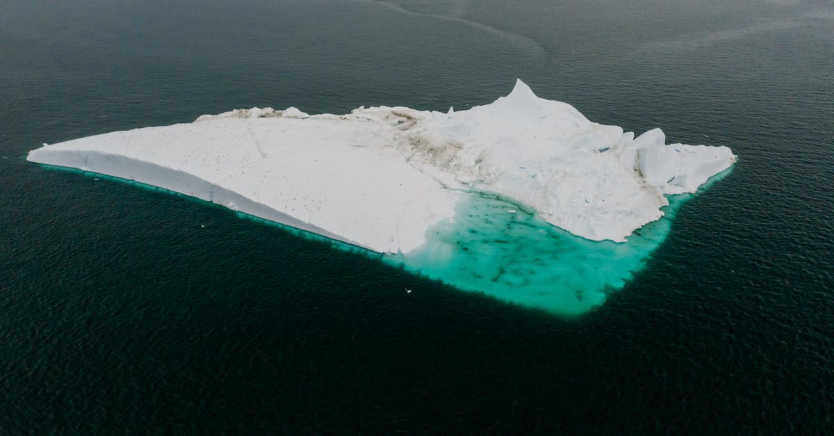 découvrez les dernières avancées en matière de recherche climatique, abordant les enjeux globaux du changement climatique, ses impacts sur notre environnement et les solutions innovantes pour un avenir durable.