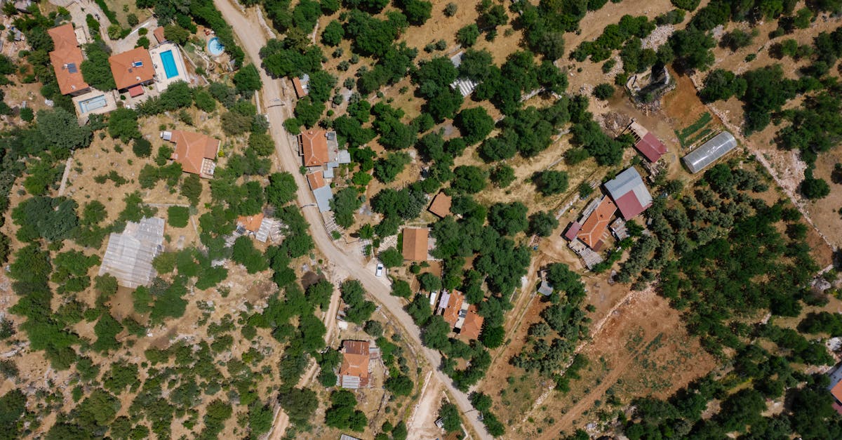 découvrez les jardins communautaires : des espaces verts collaboratifs où voisins et amis se rassemblent pour cultiver des plantes, partager des idées et favoriser la biodiversité. engagez-vous dans une expérience enrichissante qui promeut l'agriculture urbaine et renforce le lien social.