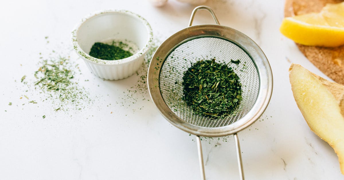 découvrez les herbes culinaires, leur utilisation en cuisine et les bienfaits qu'elles apportent à vos plats. explorez les variétés populaires comme le basilic, le thym et la coriandre pour rehausser vos recettes et enrichir votre palais.