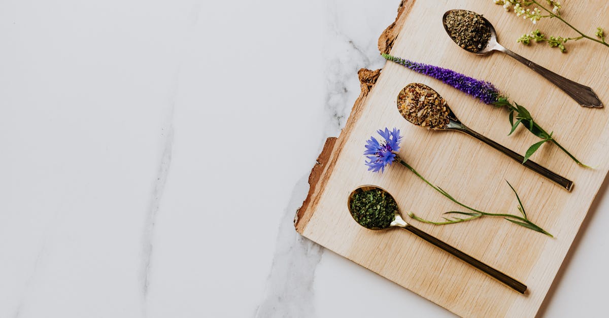 découvrez l'univers fascinant des herbes culinaires ! apprenez à utiliser ces ingrédients aromatiques pour rehausser vos plats, enrichir vos saveurs et apporter une touche saine à votre cuisine. explorez les variétés, leurs bienfaits et des astuces pour les cultiver chez vous.