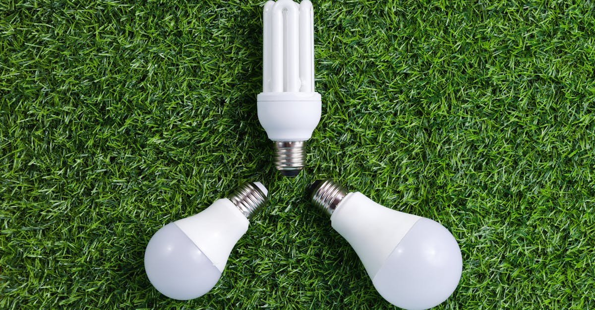 découvrez l'éco-conscience : un mouvement essentiel pour préserver notre planète. apprenez à adopter des gestes écologiques au quotidien et à sensibiliser votre entourage à l'importance de la durabilité.