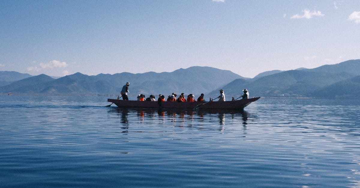 découvrez la photographie de nature éthique qui célèbre la beauté du monde naturel tout en respectant l'environnement. apprenez des techniques pour capturer des images saisissantes sans nuire à la faune ou à leur habitat.