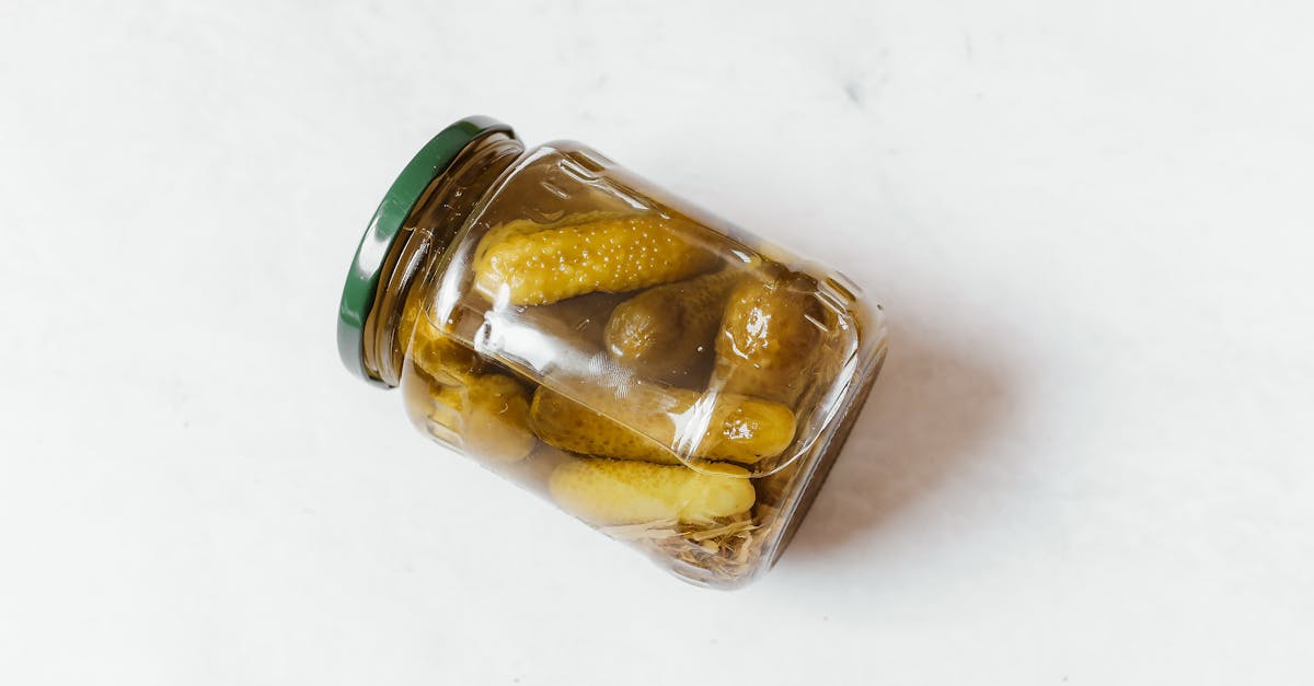 découvrez les bienfaits des aliments fermentés pour votre santé et votre bien-être. apprenez comment intégrer ces délicieuses options à votre alimentation quotidienne tout en explorant des recettes et astuces pour profiter au mieux de leurs effets probiotiques.