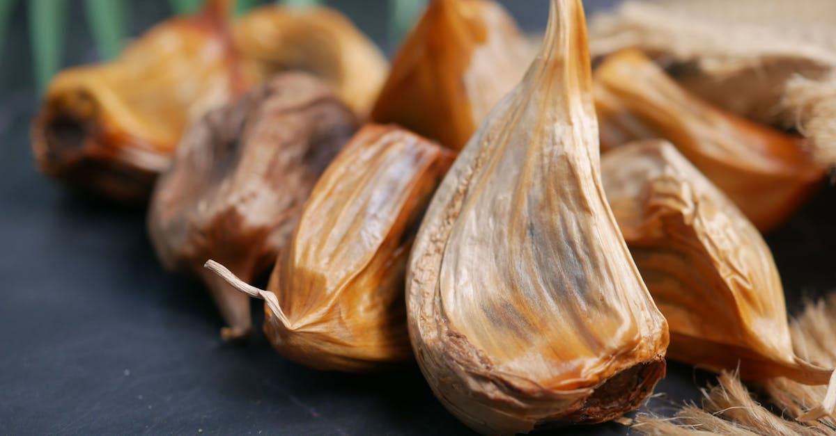 découvrez les bienfaits des aliments fermentés pour votre santé ! probiotiques, digestion améliorée et recettes savoureuses à explorer. plongez dans le monde de la fermentation et transformez votre alimentation.