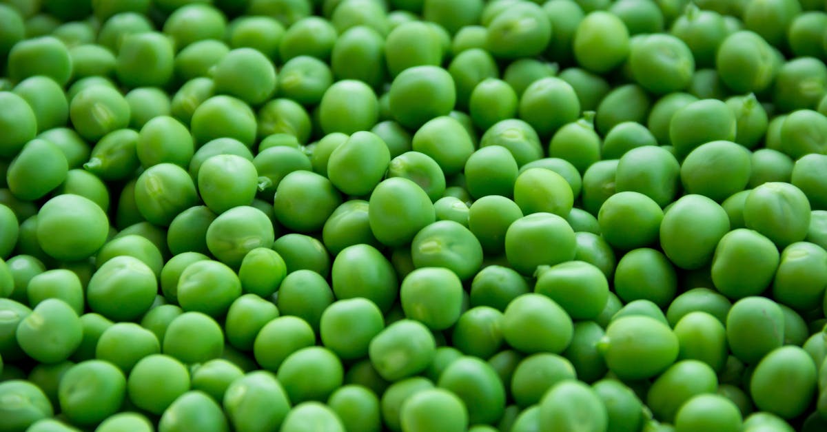 Cuisine durable : les bienfaits des légumineuses