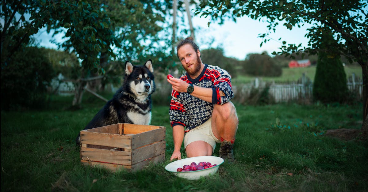 découvrez les délices de la cuisine locale ! explorez des recettes authentiques, des ingrédients frais et des traditions culinaires uniques qui mettent en valeur les saveurs de votre région. régalez vos papilles tout en soutenant les producteurs locaux.