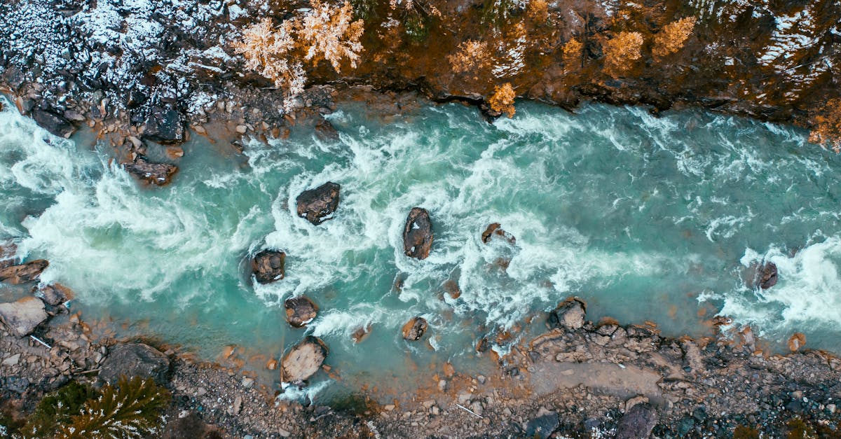 Le portrait d’un photographe de nature célèbre