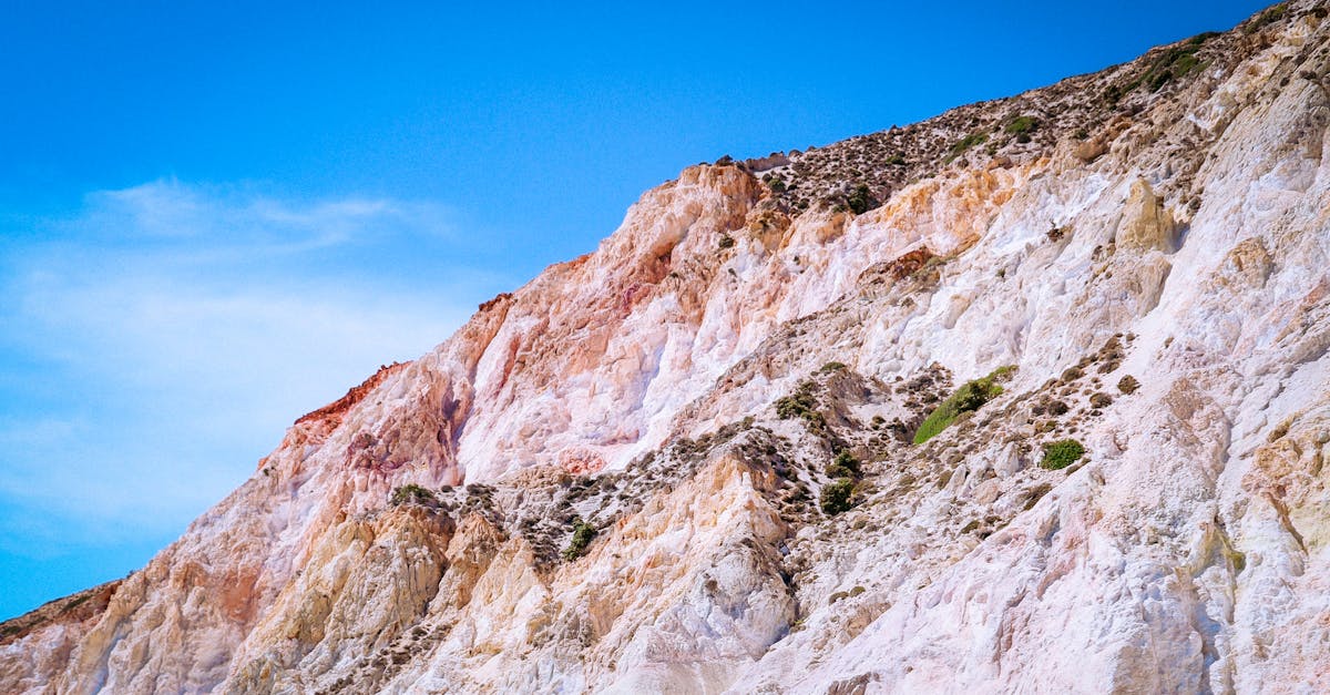 découvrez l'univers fascinant des photographes de nature, capturant la beauté des paysages et la vie sauvage à travers leur objectif. plongez dans leurs œuvres emblématiques et inspirez-vous de leur passion pour la photographie en plein air.