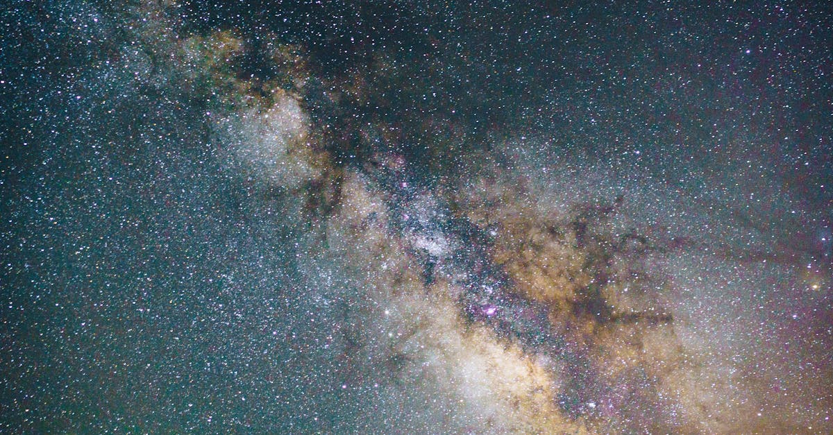 découvrez la beauté du monde naturel à travers la photographie de la nature. explorez des paysages époustouflants, des animaux en liberté et la magie des saisons capturée par l'objectif. plongez dans un univers visuel qui célèbre la biodiversité et l'harmonie de notre planète.