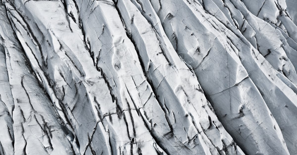 Photographie de nature : capturer la magie du mouvement