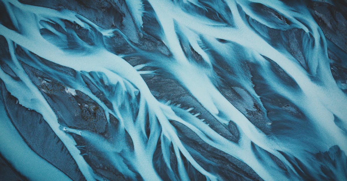 découvrez l'art de la photographie naturelle à travers des images captivantes qui capturent la beauté du monde. plongez dans la magie des paysages, de la faune et des détails invisibles, et laissez-vous inspirer par la nature dans toute sa splendeur.