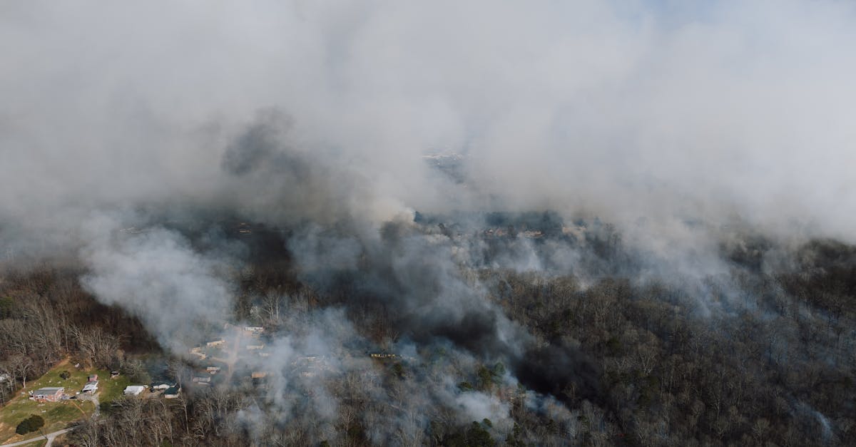 découvrez l'impact de la pollution sonore sur notre environnement et notre santé. apprenez comment le bruit affecte votre bien-être et explorez des solutions pour un cadre de vie plus paisible.