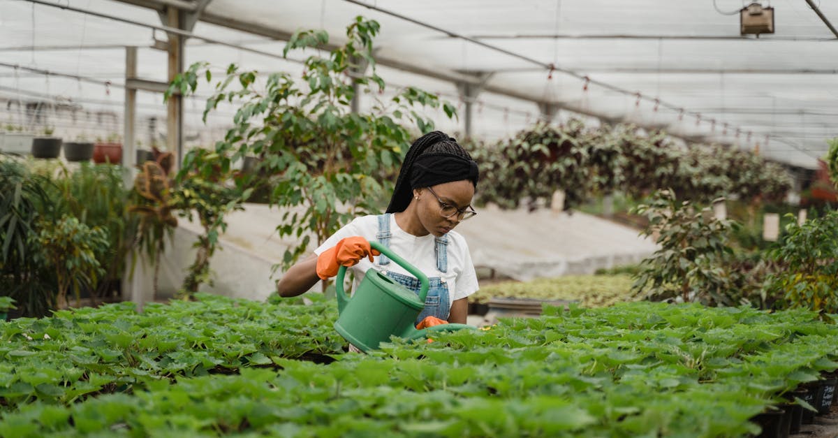 découvrez les bienfaits de la culture biologique : une méthode respectueuse de l'environnement, favorisant la biodiversité et produisant des aliments sains et nutritifs. apprenez les techniques essentielles pour cultiver vos propres fruits et légumes de manière durable.
