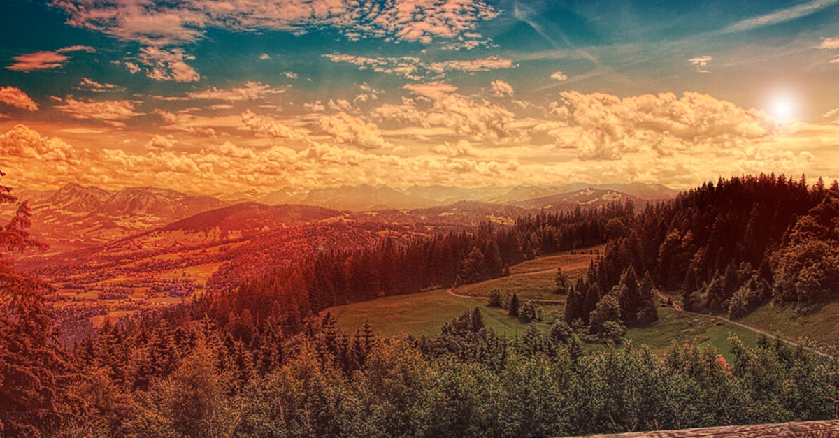 découvrez l'art de la photographie panoramique, une technique qui permet de capturer des paysages vastes et époustouflants avec une profondeur et une clarté exceptionnelles. explorez des conseils, des techniques et des inspirations pour immortaliser des vues à couper le souffle.