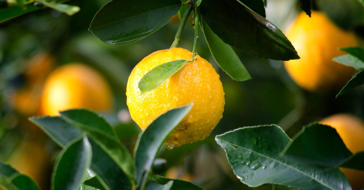 découvrez l'impact des pesticides sur notre environnement et notre santé. informez-vous sur les différents types de pesticides, leurs utilisations, et les alternatives durables pour une agriculture respectueuse de la nature.