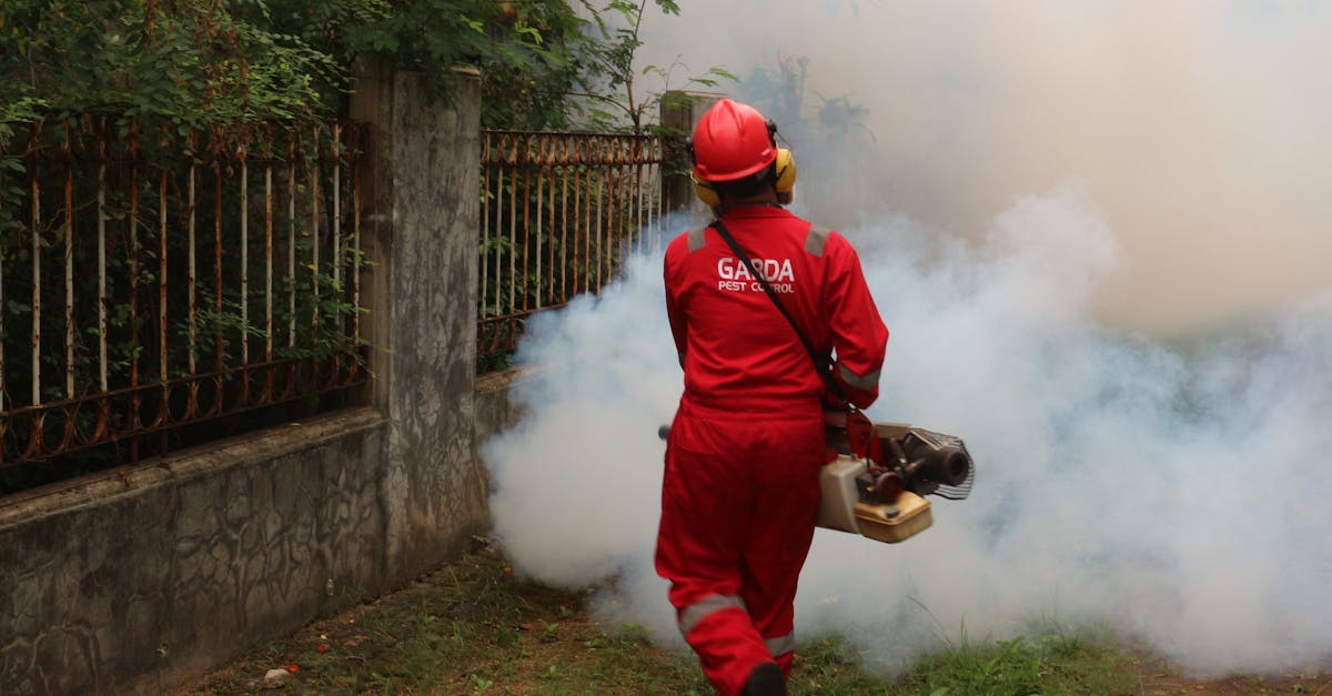 L’impact des pesticides sur la cuisine durable