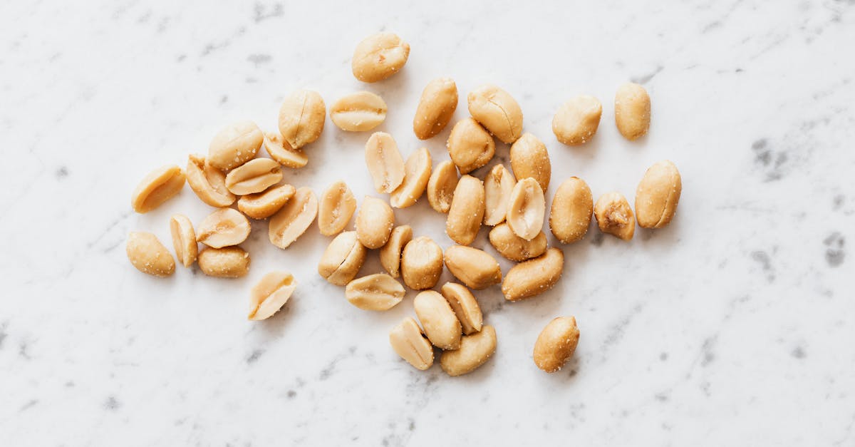 découvrez le monde des aliments transformés : leur impact sur notre santé, les différents types et comment les intégrer de manière équilibrée dans votre alimentation quotidienne.