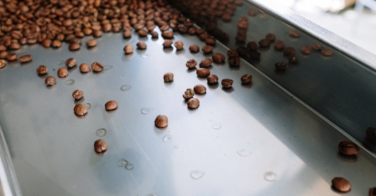 L’impact des produits transformés sur l’environnement