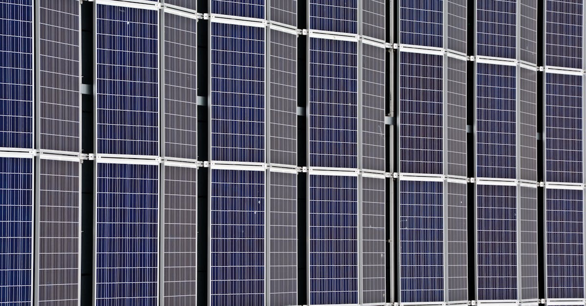 découvrez l'importance de la durabilité et comment elle transforme notre façon de vivre, de consommer et de préserver notre planète pour les générations futures.