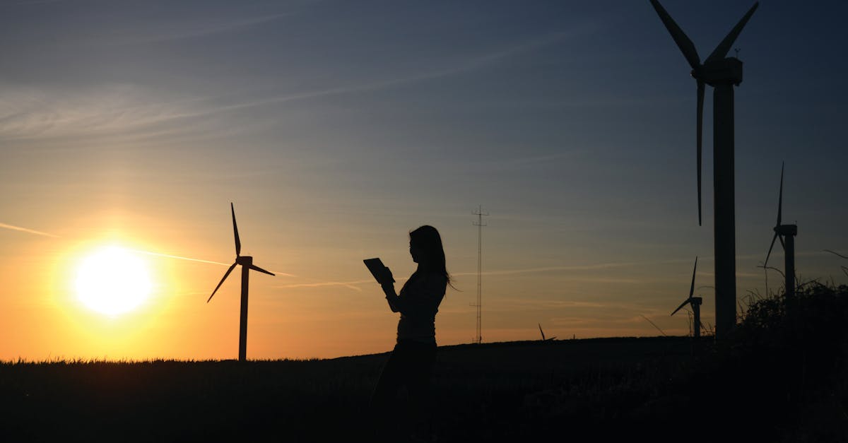 découvrez comment la durabilité façonne notre avenir, en explorant des pratiques écoresponsables, des innovations durables et des solutions pour préserver notre planète. rejoignez le mouvement vers un mode de vie plus respectueux de l'environnement.