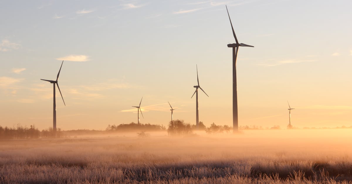 découvrez l'importance de la durabilité et comment elle impacte notre environnement, notre économie et notre société. apprenez des pratiques durables pour un avenir meilleur.