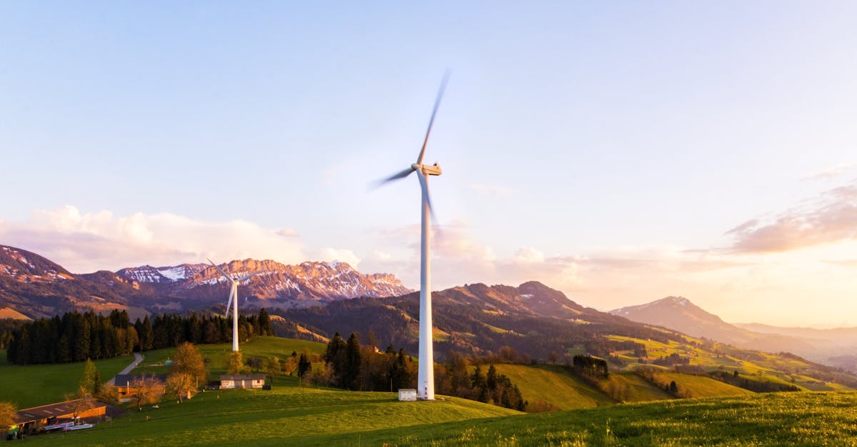découvrez des pratiques et des solutions innovantes pour promouvoir la durabilité. apprenez comment chaque geste compte pour préserver notre planète et garantir un avenir respectueux de l'environnement.