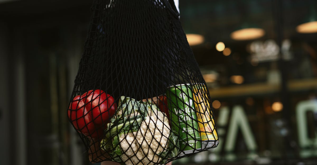découvrez notre gamme de boissons durables, alliant saveurs authentiques et respect de l'environnement. optez pour des recettes éco-responsables qui préservent la nature tout en régalant vos papilles. rejoignez le mouvement pour une consommation plus verte!