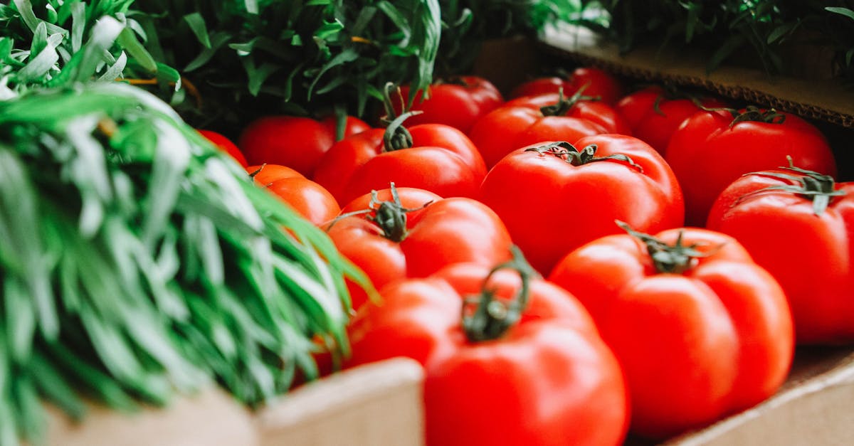 découvrez l'art de la cuisine durable avec des recettes savoureuses et des conseils pratiques pour réduire votre empreinte écologique. apprenez à choisir des ingrédients locaux, de saison et éthiques tout en savourant des plats délicieux qui préservent notre planète.